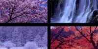 Una luce per ogni stagione
