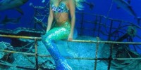 Le nuove Sirene: da incantatrici omeriche a performer per salvare gli Oceani