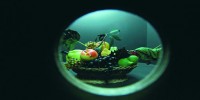 Roma. Mostra “Caravaggio. La bottega del genio”. Dal 22 dicembre al 29 maggio 2011