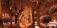 A Potenza il progetto di una “Green Way”, un anello di comunicazione che collega tutta la città
