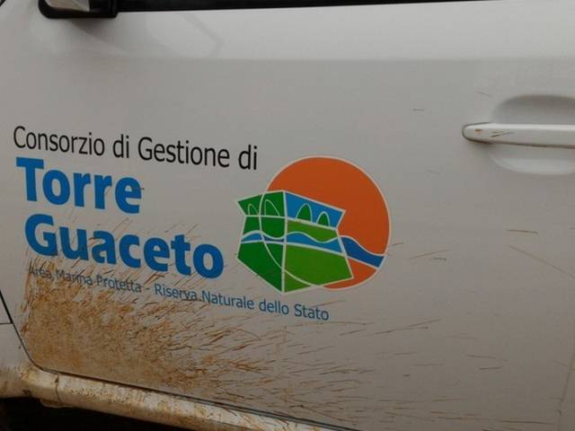 Consorzio di Gestione di Torre Guaceto