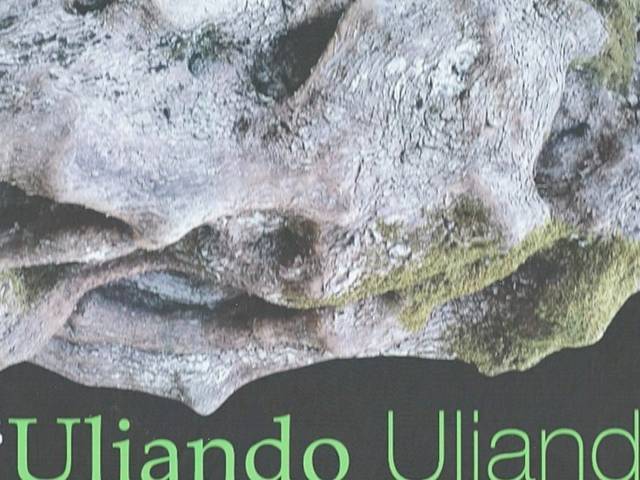 Uliando Uliando, catalogo