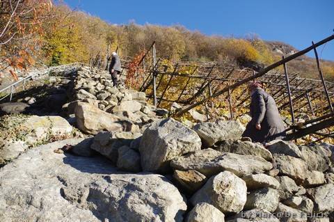 I gradoni che portano ai vigneti