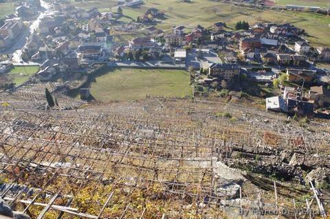 Le pendenze dei vigneti