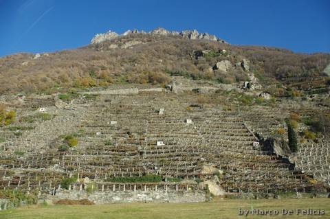 I terrazzamenti dei vigneti di Donnas
