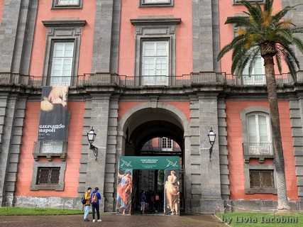 Museo e Real Bosco di Capodimonte, ingresso
