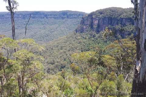 Blue Mountains