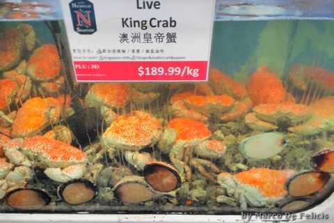 Sydney, mercato del pesce, granchi reali viv