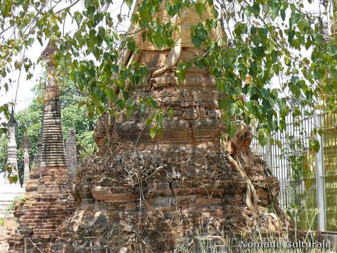 Kakku, stupa ricoperto dalla vegetazione